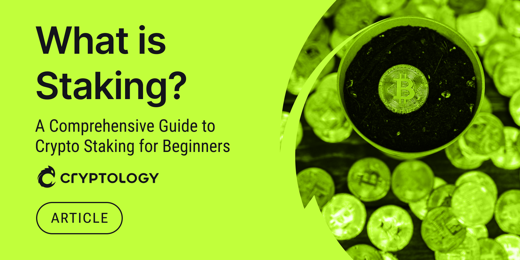 What is Staking? A Comprehensive Guide to Crypto Staking for Beginners